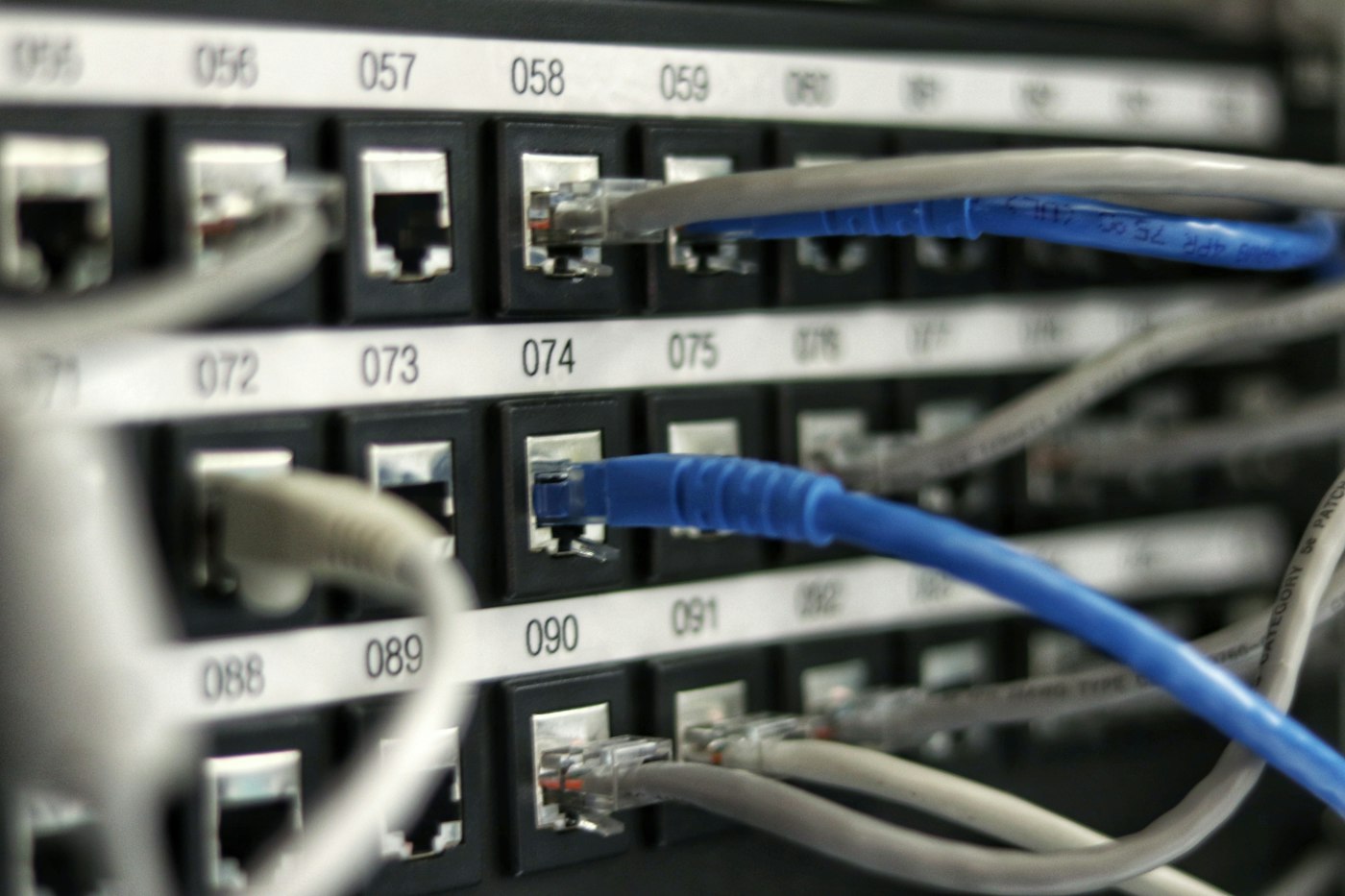 Patch panel con cables de red conectados